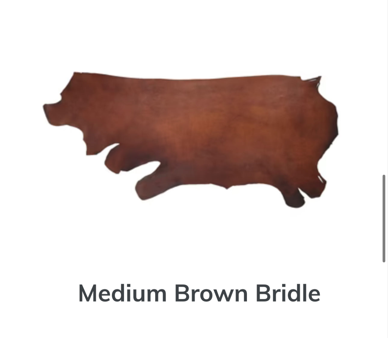 Outline of a full hide of medium brown bridle leather, featuring a medium brown tone. Displayed on a white background.