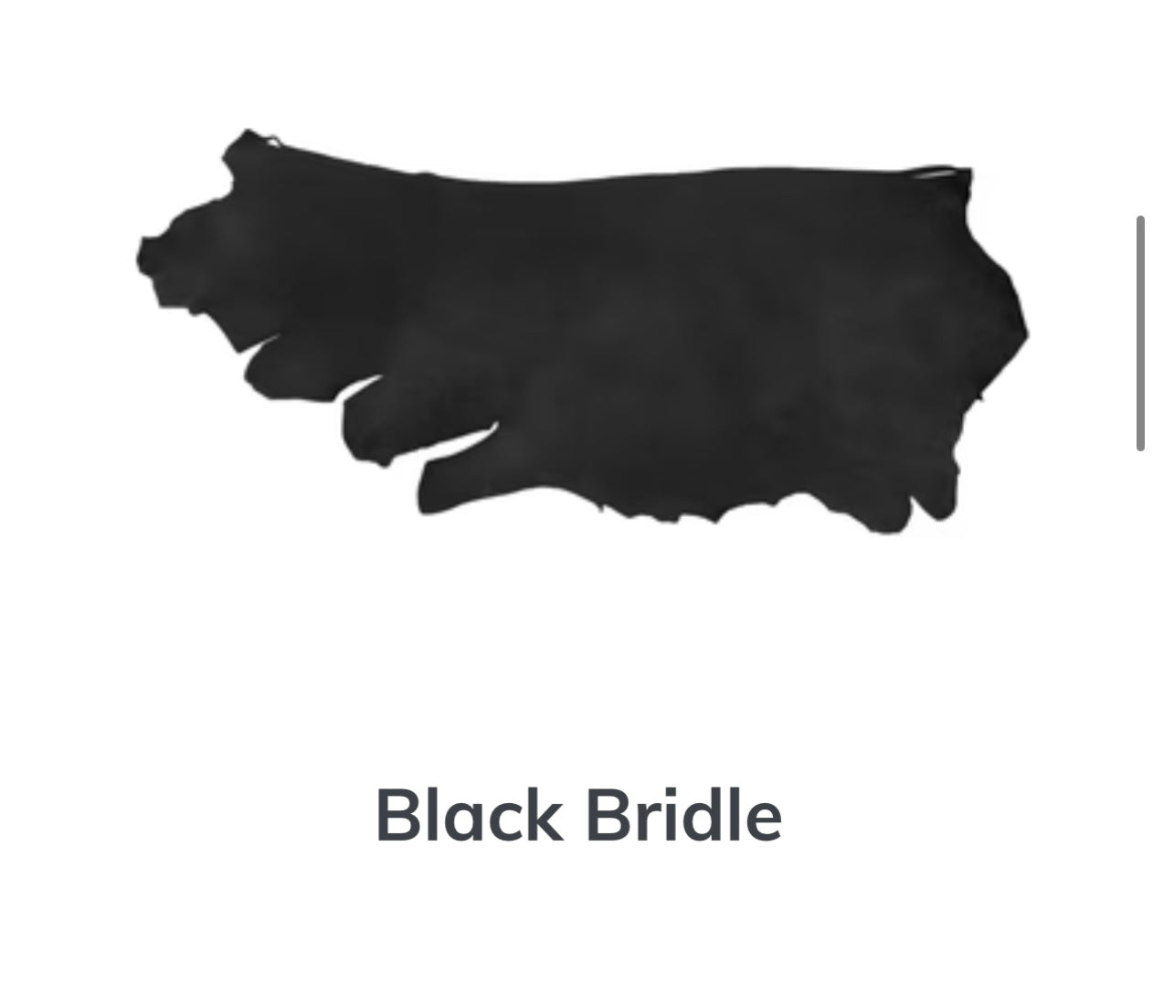 Silhouette of a black bridle leather hide on a black background with the label ‘Black Bridle’ below.